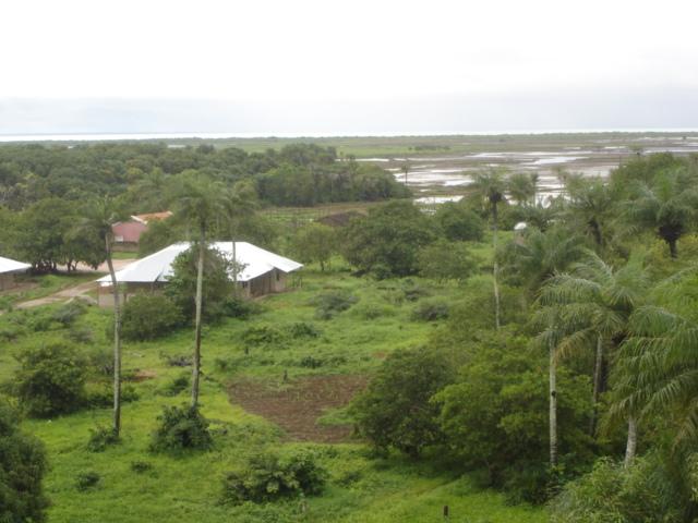 GUINEA 1 037