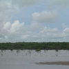 DSCN0169