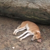 DSCN0243