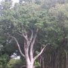 DSCN0273