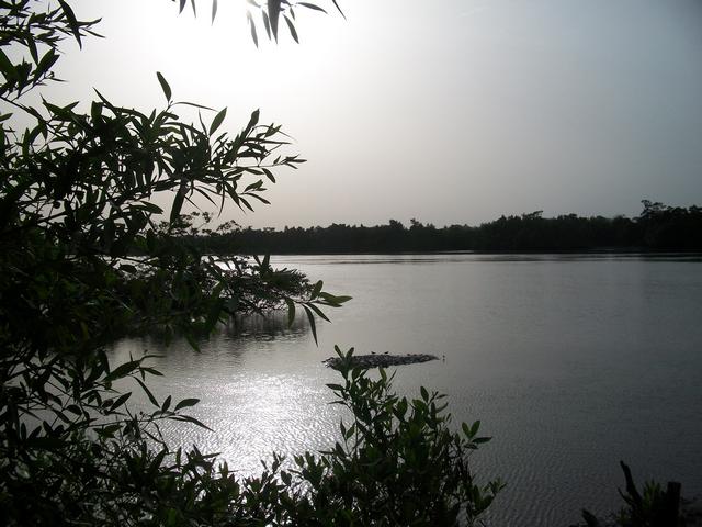 Guinea 2010 045