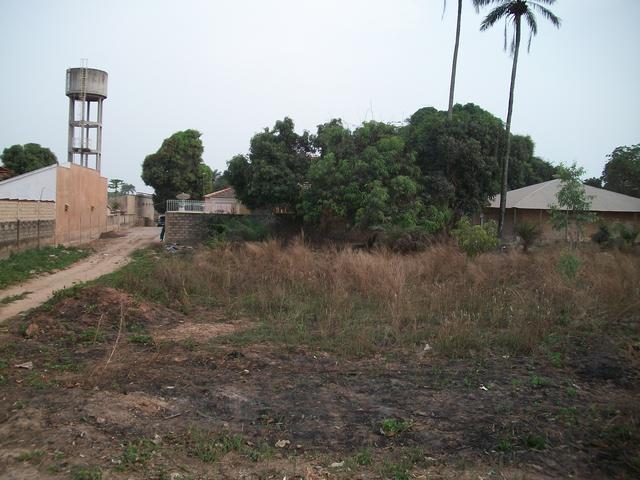 Guinea 2010 056