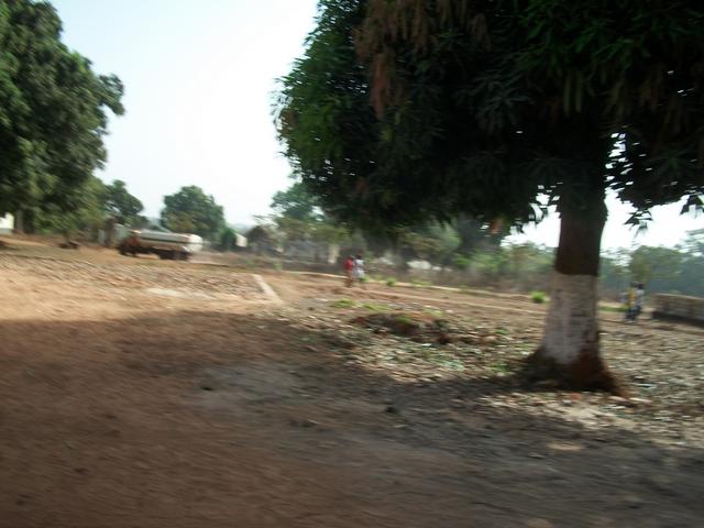Guinea 2010 102