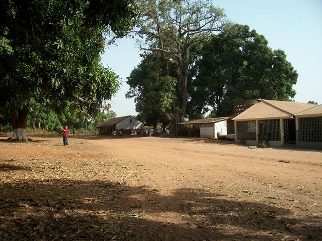 Guinea 2010 122