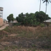 Guinea 2010 056